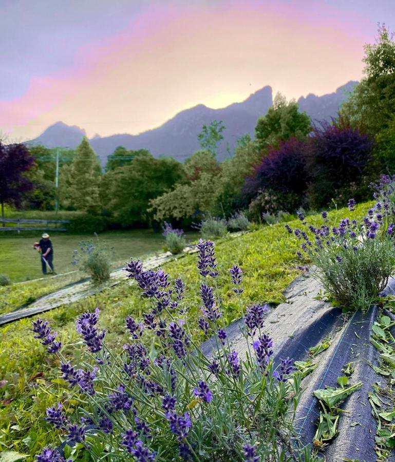 Casa Delle Arti Fattoria Dei Fiori Farm stay