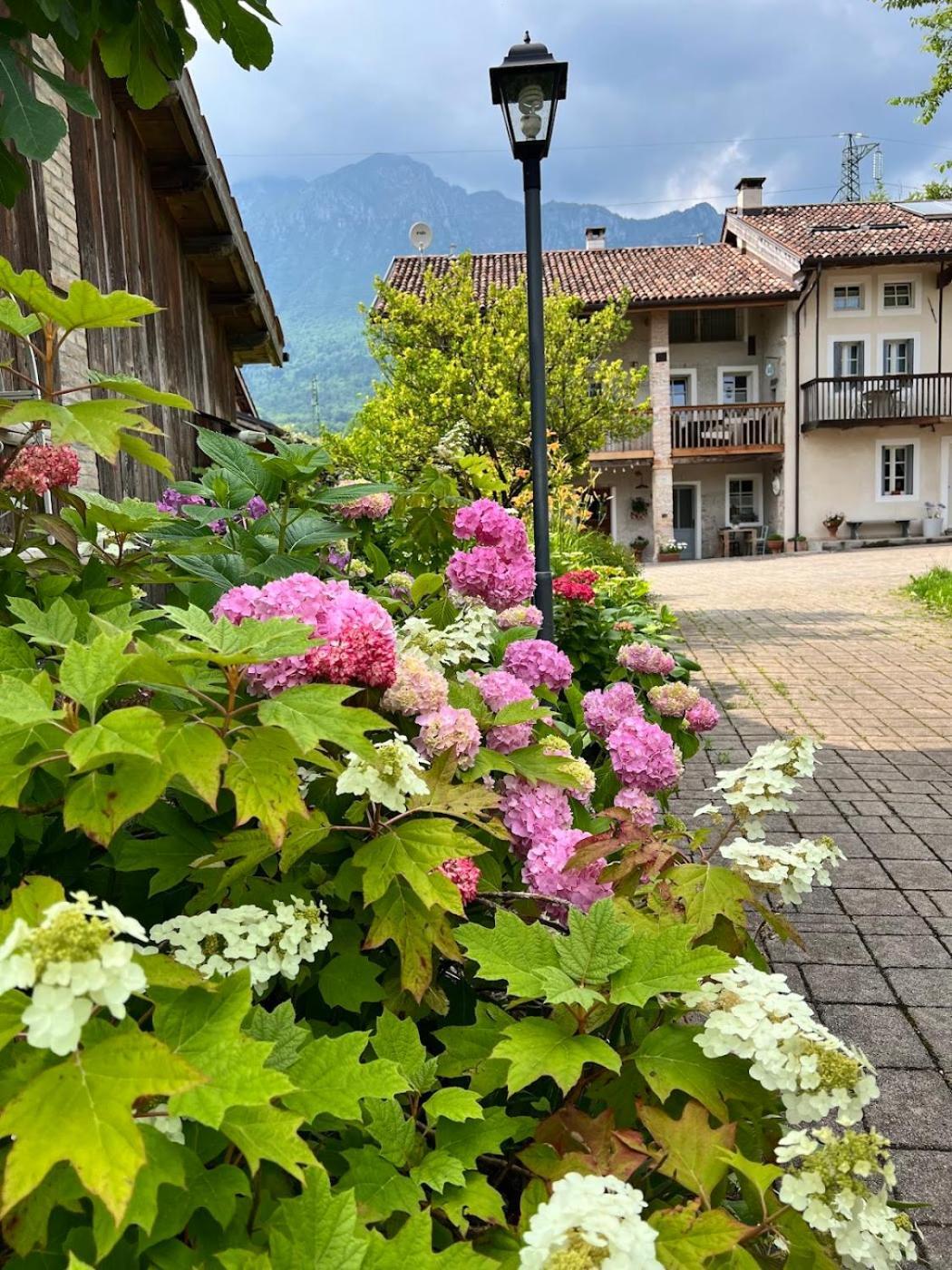 Casa Delle Arti Fattoria Dei Fiori *